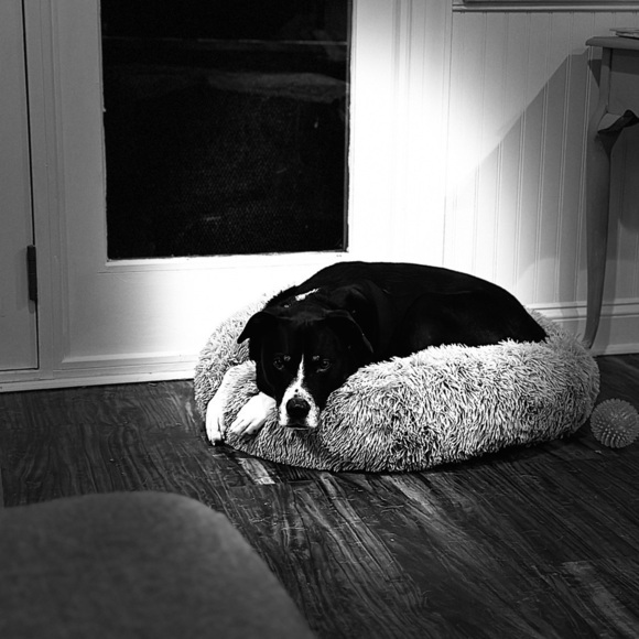 Shipping Label - Picture 3 of 4